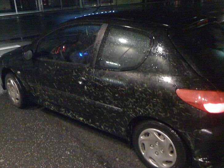 Peugeot 206 xs billede 6