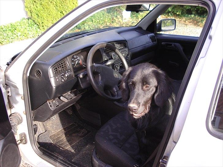 VW Golf 3 GTD billede 6