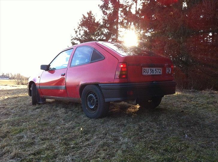 Opel kadett cc e 1,4  8v indsprøjtning LS billede 10