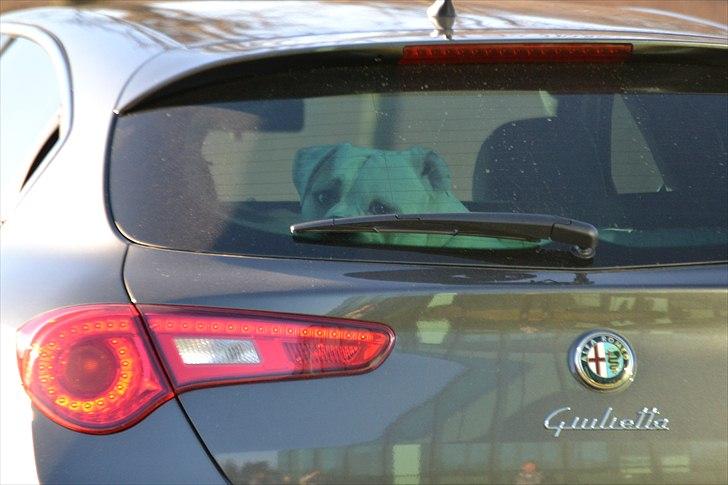 Alfa Romeo Giulietta QV billede 8