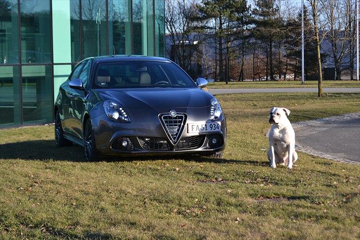 Alfa Romeo Giulietta QV billede 15