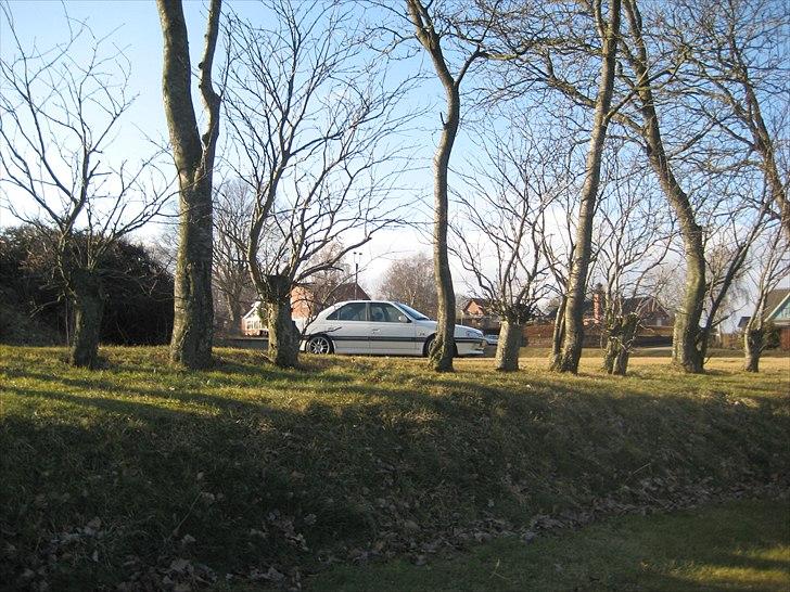 Peugeot 405 mi16 billede 3