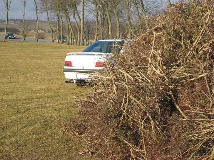 Peugeot 405 mi16 billede 6