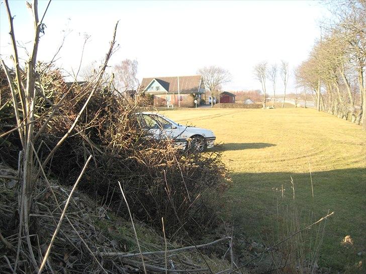 Peugeot 405 mi16 billede 9