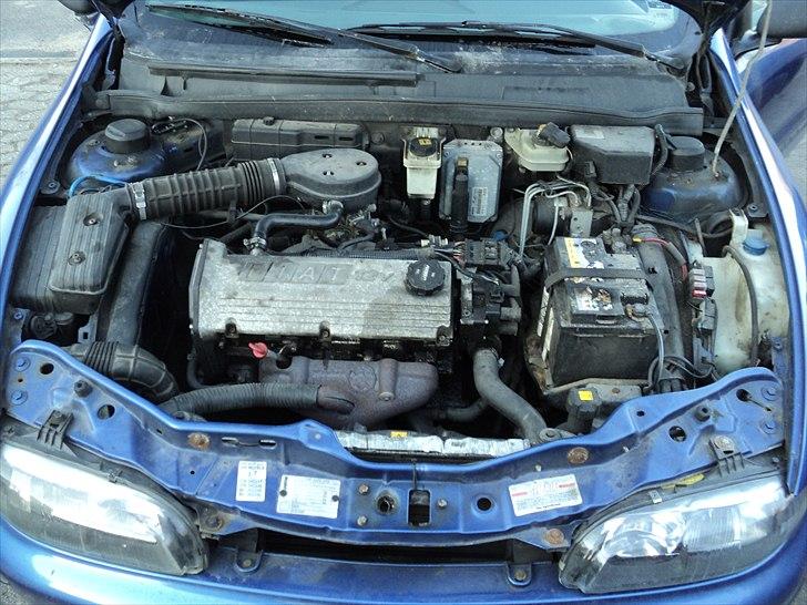 Fiat Brava billede 6