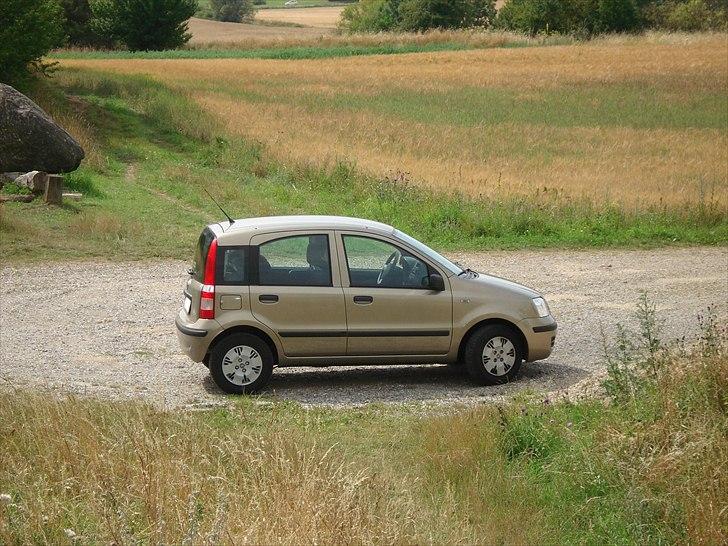 Fiat Panda billede 15