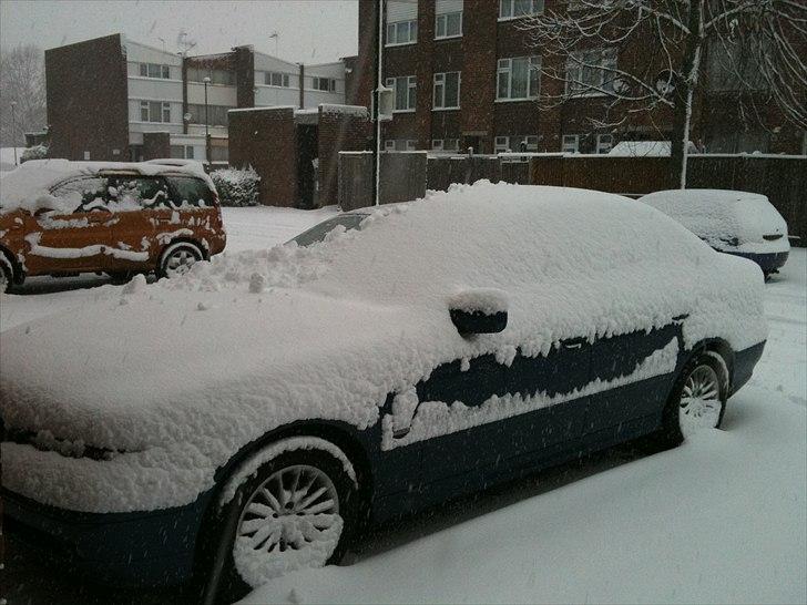 BMW 525iA billede 17