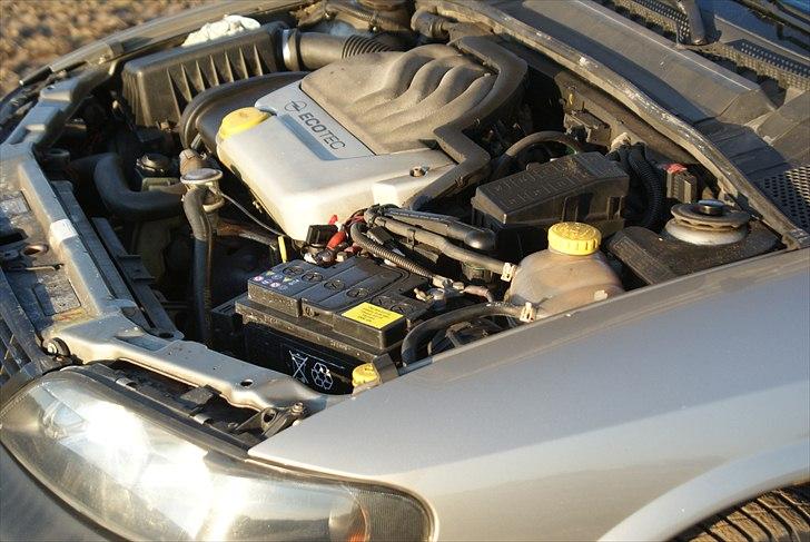 Opel Vectra B 1,6 16V billede 10