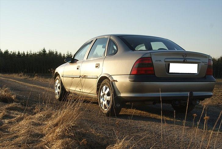 Opel Vectra B 1,6 16V billede 13