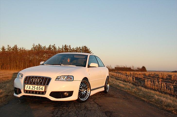 Audi A3 TDI billede 14