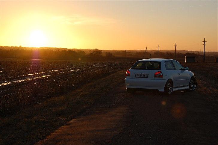 Audi A3 TDI billede 16