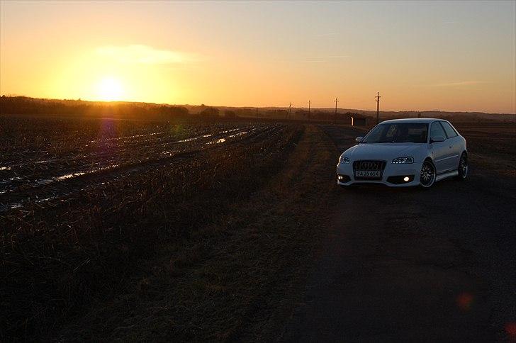 Audi A3 TDI billede 17