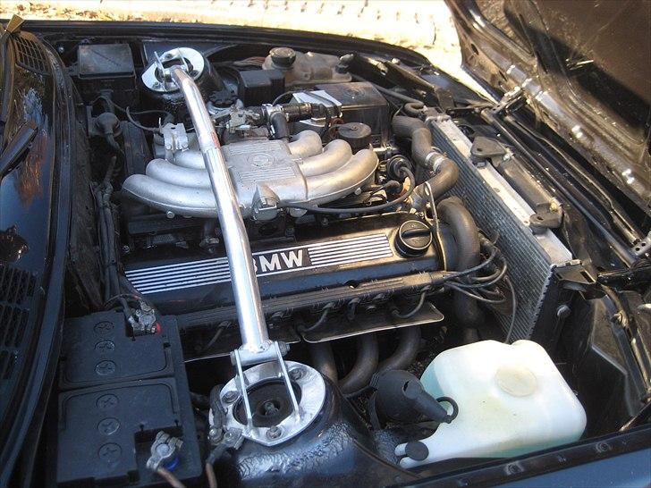 BMW E30 325i Cabriolet (SOLGT 17/6-2011) billede 12