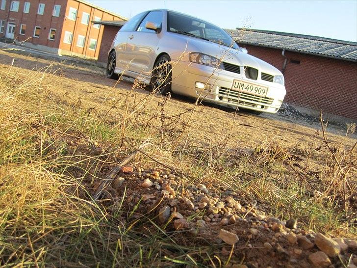 Seat Ibiza 1.8T billede 2