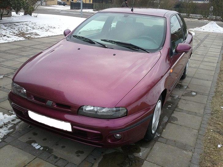 Fiat Bravo GT billede 1