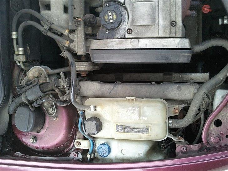 Fiat Bravo GT billede 6