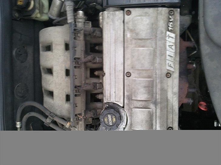 Fiat Bravo GT billede 8