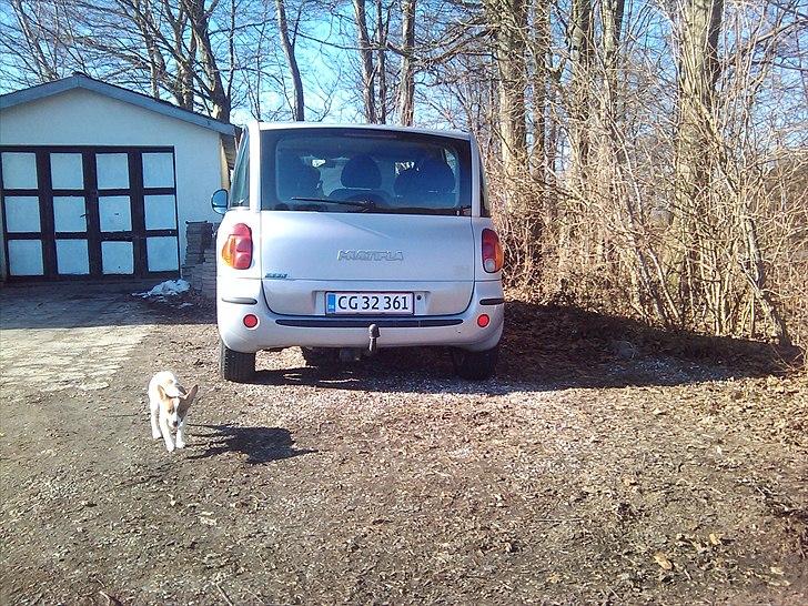 Fiat Multipla billede 3