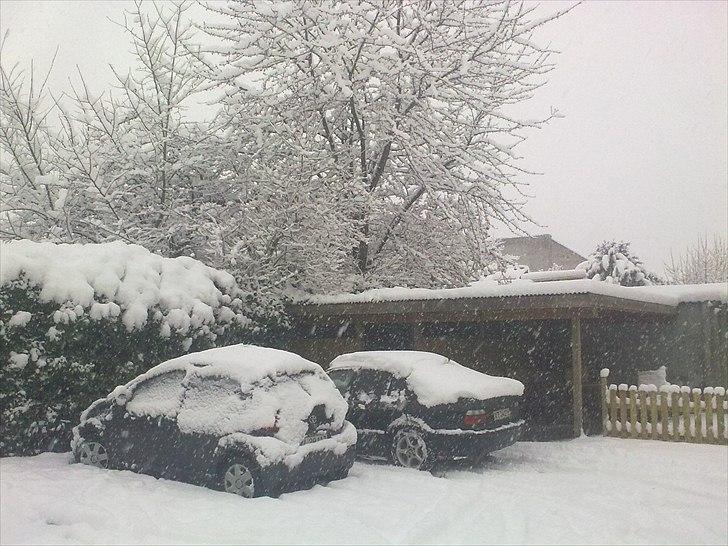 BMW 318 i Bavaria *Skadet*  billede 20