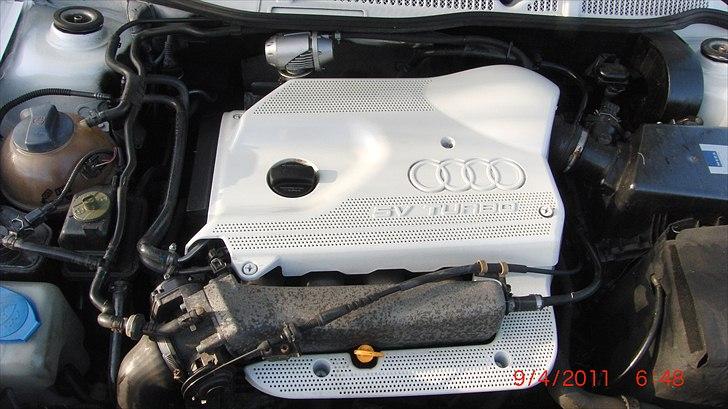 Audi A3 1,8 T Perlemorshvid billede 2