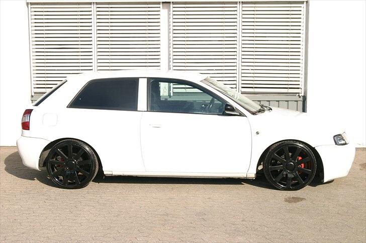 Audi A3 1,8 T Perlemorshvid billede 6