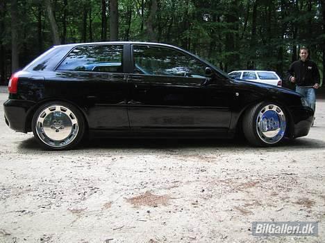 Audi A3  Ambiente billede 10