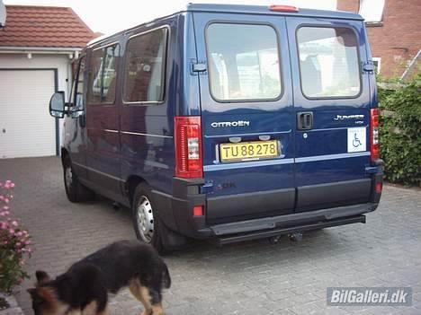 Citroën Jumper 2,8 HDI - Citronen skråt fra venstre, man kan lige se vores hund Elvis. billede 4