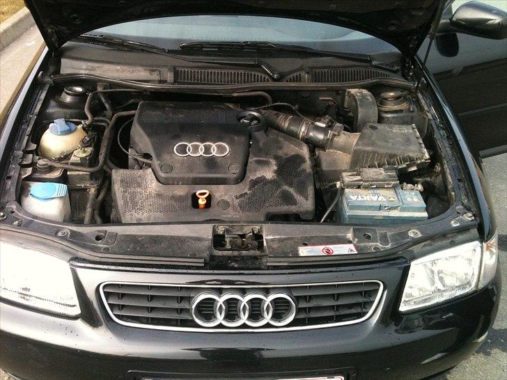 Audi A3 1.6 billede 8