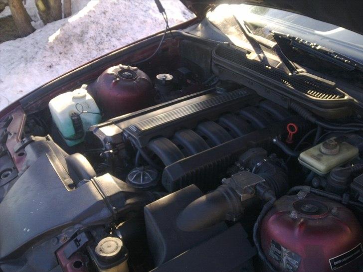 BMW 325i e36 (SOLGT) billede 5