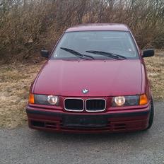 BMW e36 SOLGT