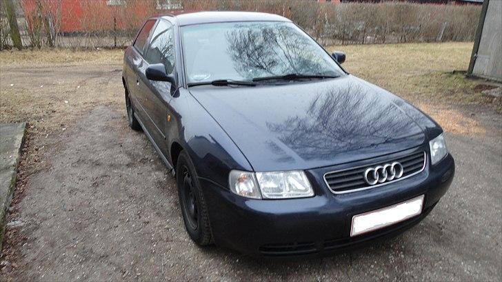 Audi A3 8L billede 1