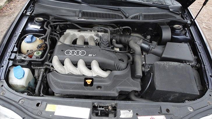 Audi A3 8L billede 6