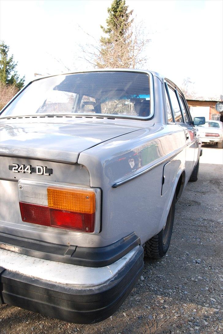 Volvo 244 DL billede 15