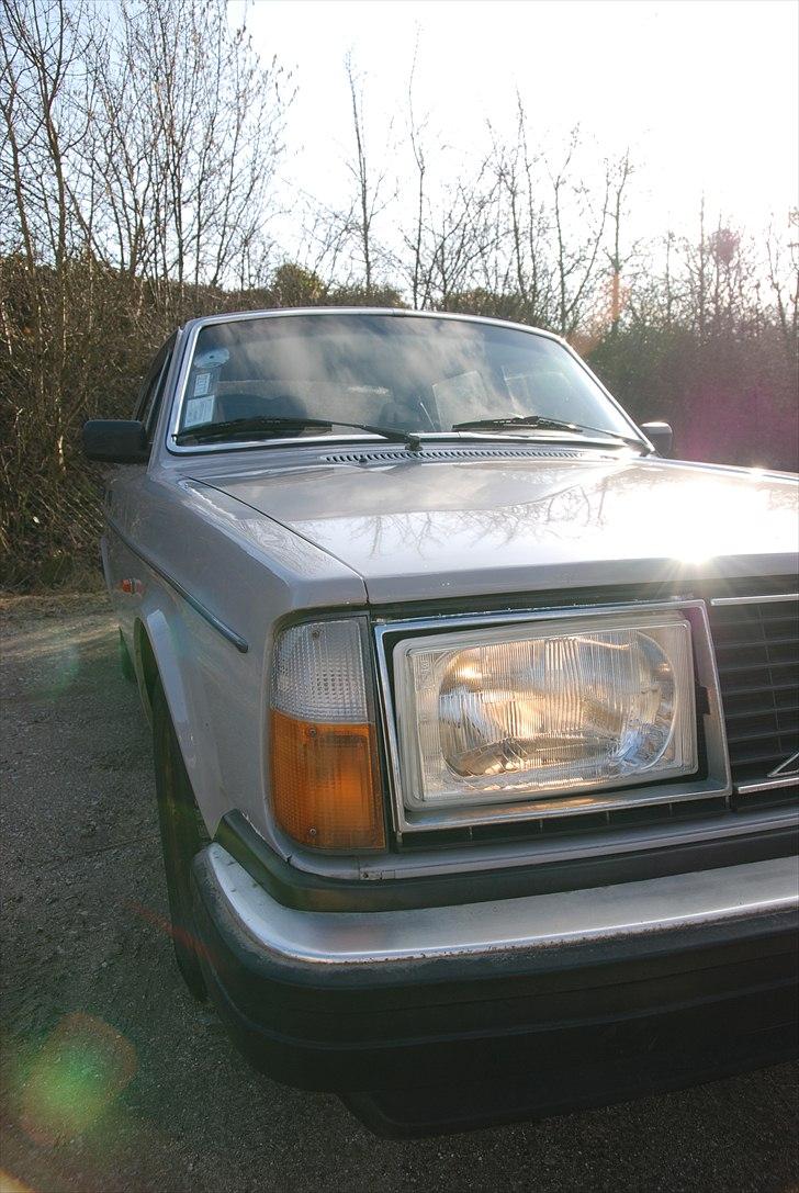 Volvo 244 DL billede 16
