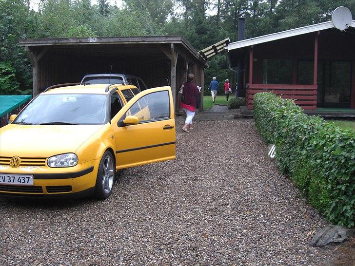 VW golf 4 (solgt) ÆV billede 5