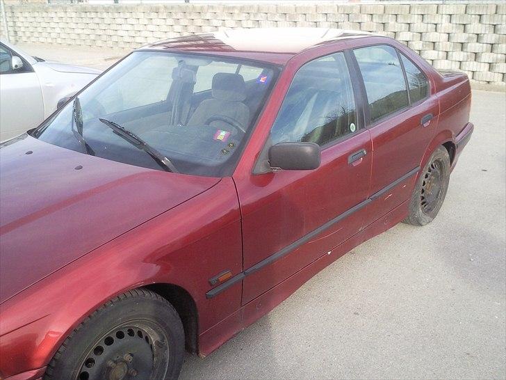 BMW e36 SOLGT billede 3
