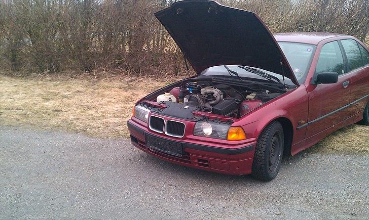 BMW e36 SOLGT billede 5