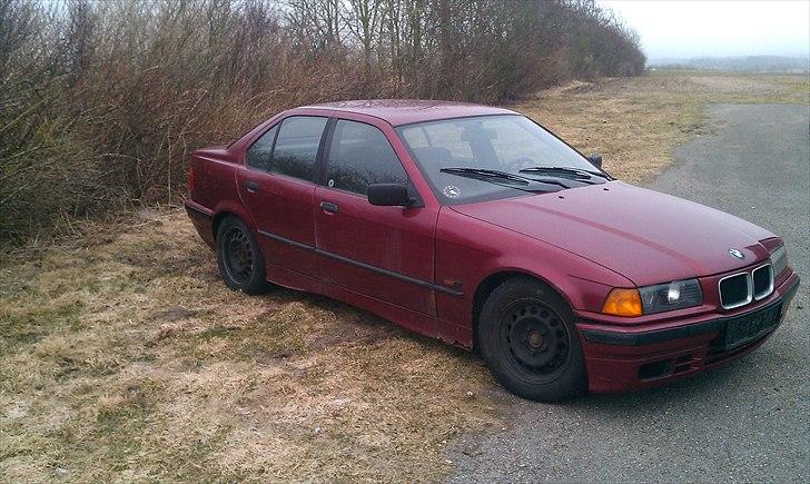 BMW e36 SOLGT billede 6