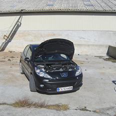 Peugeot 206 +