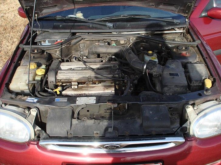 Ford Escort billede 8