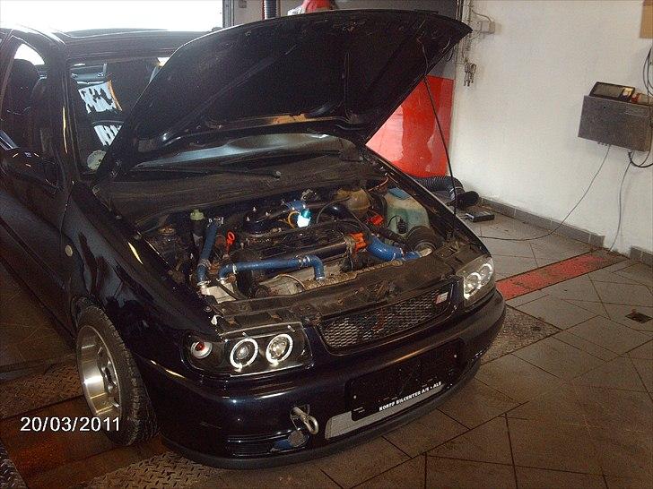 VW polo 6n 1.6 8v kompressor billede 12