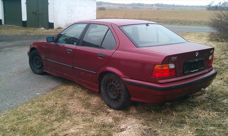 BMW e36 SOLGT billede 9
