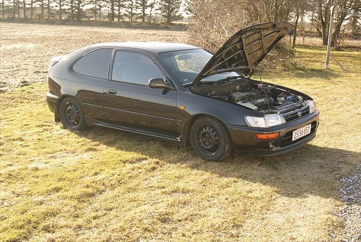 Toyota Corolla GSI 16V - SOLGT billede 15