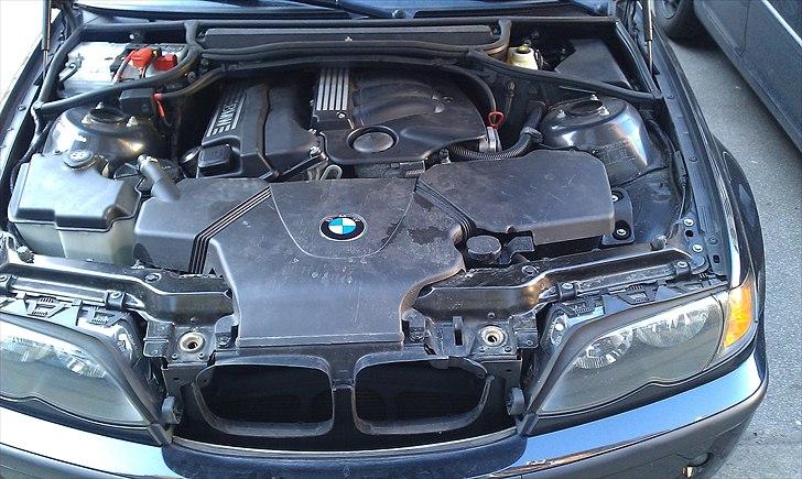 BMW 318i e46 Touring billede 6
