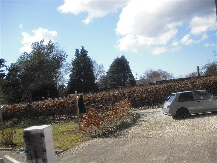 Toyota corolla Diesel billede 14