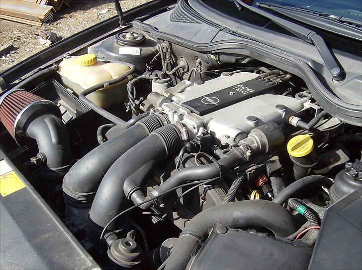 Opel Omega billede 10