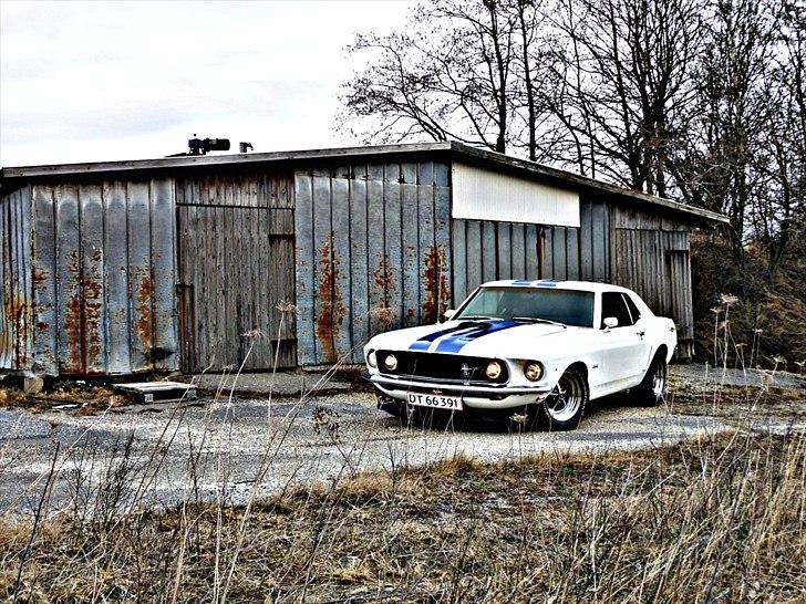 Ford Mustang "Solgt" billede 15