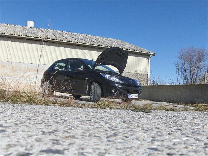 Peugeot 206 + billede 1