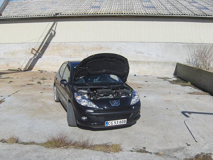 Peugeot 206 + billede 2