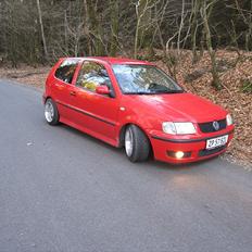 VW Polo 6n2